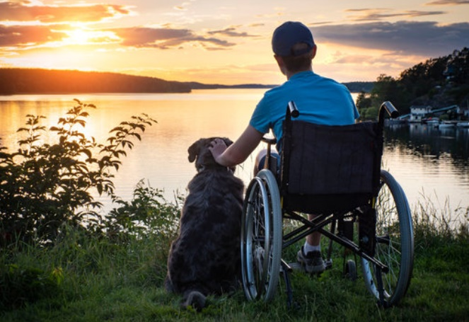 Long-term Disability Insurance 