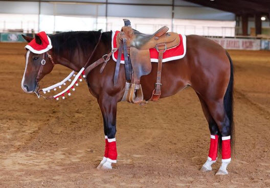 Trade in Your Saddle