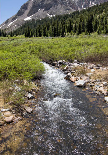 Water Stewardship