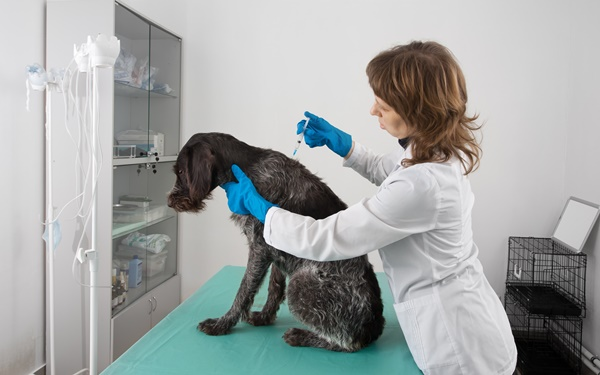 Vaccinations
