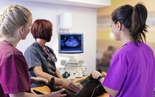 Ultrasonography