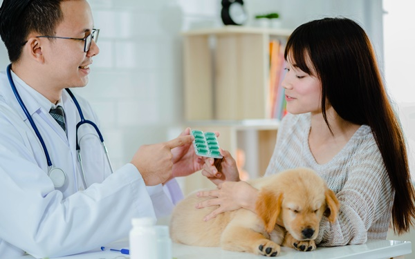 Internal Medicine