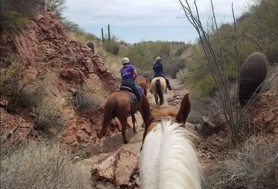 Meet & Ride