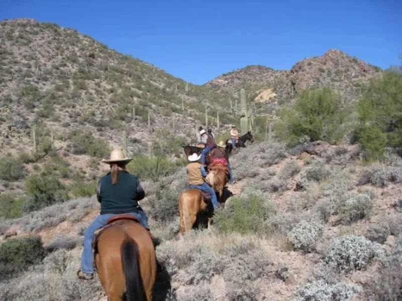 Trail Rides