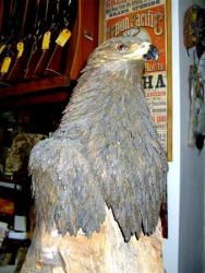 Carved American Eagle