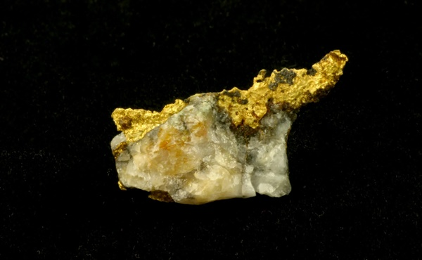 GOLD