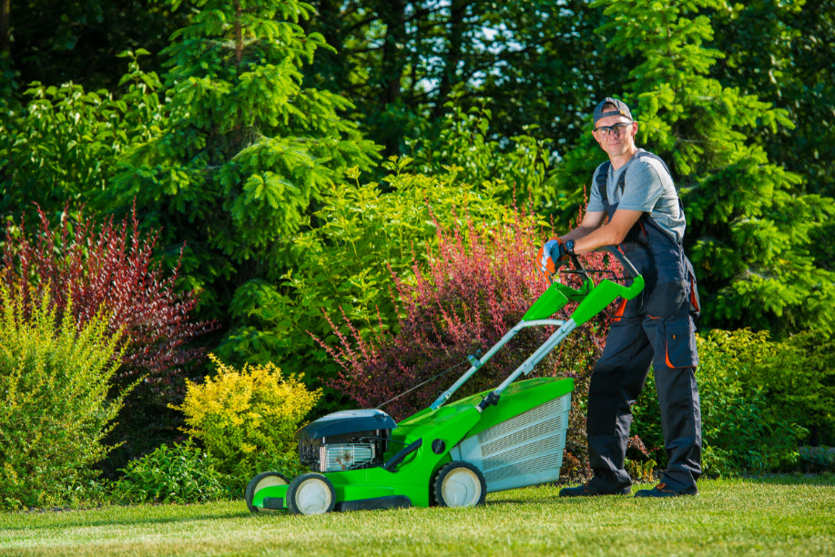 Landscape Maintenance