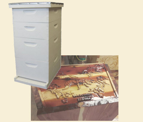 Hive Equipment