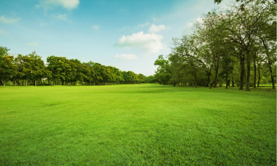 Recreational Property
