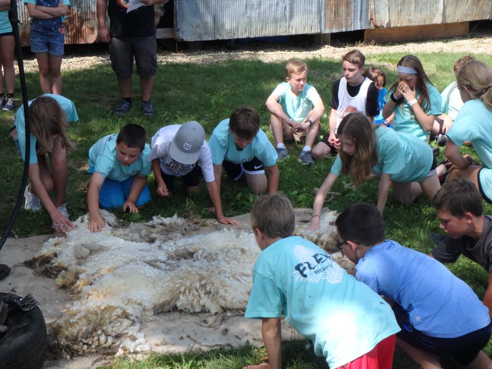 Extended Day Summer Program
