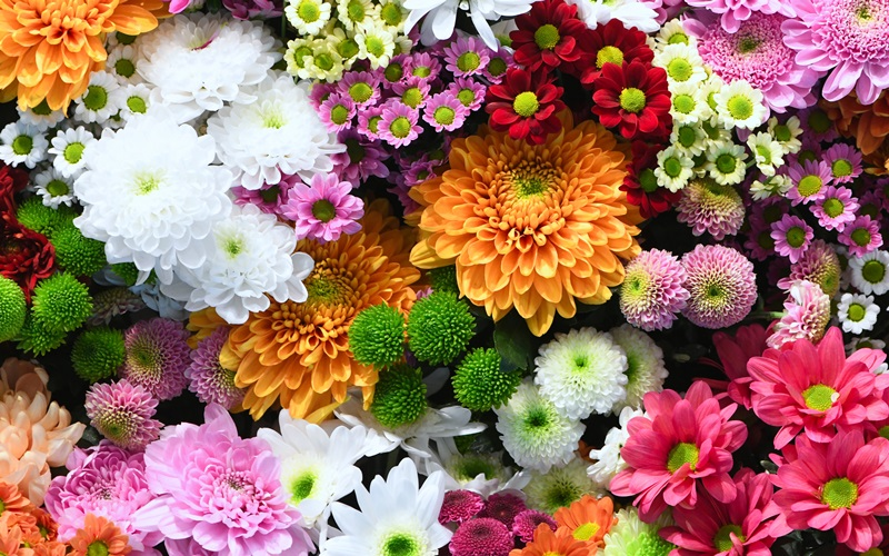 Flowers