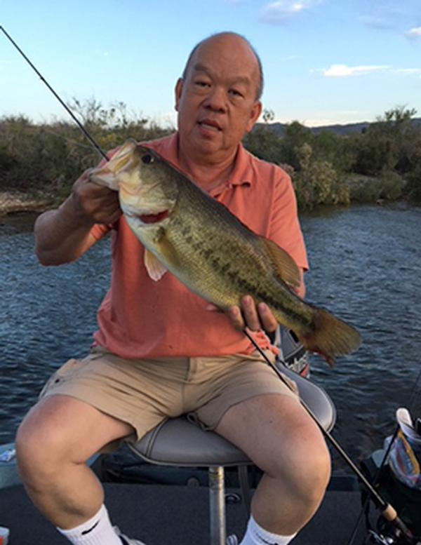 Alamo Lake Fishing
