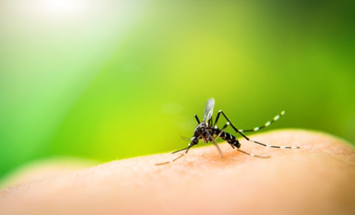 Vector Control