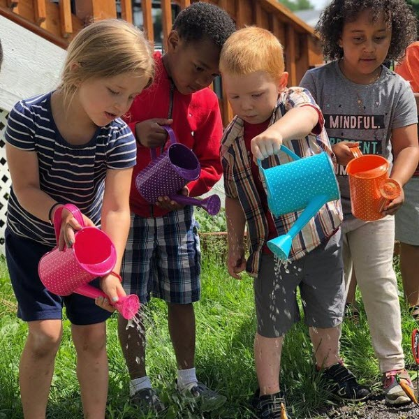 Older Preschool (3 - 4)