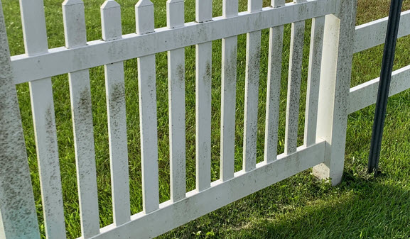 Fence Cleaning