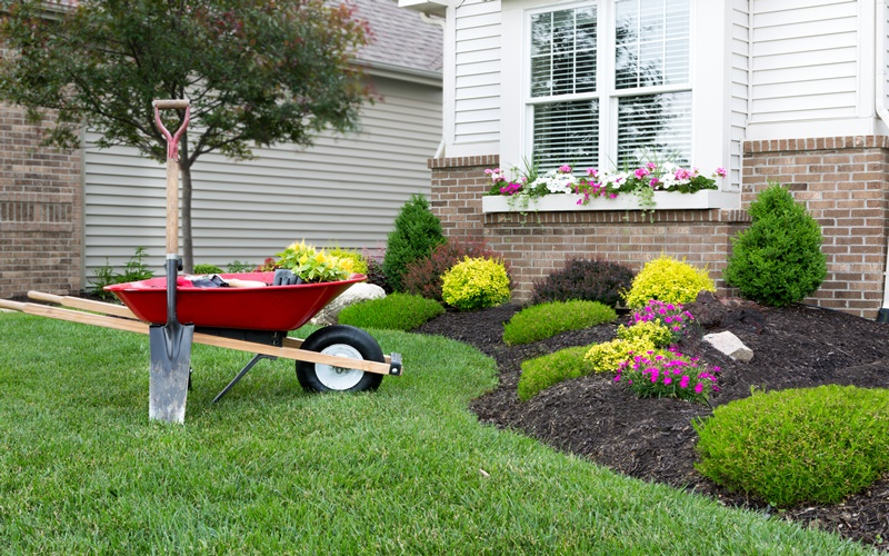 MULCH / SOIL