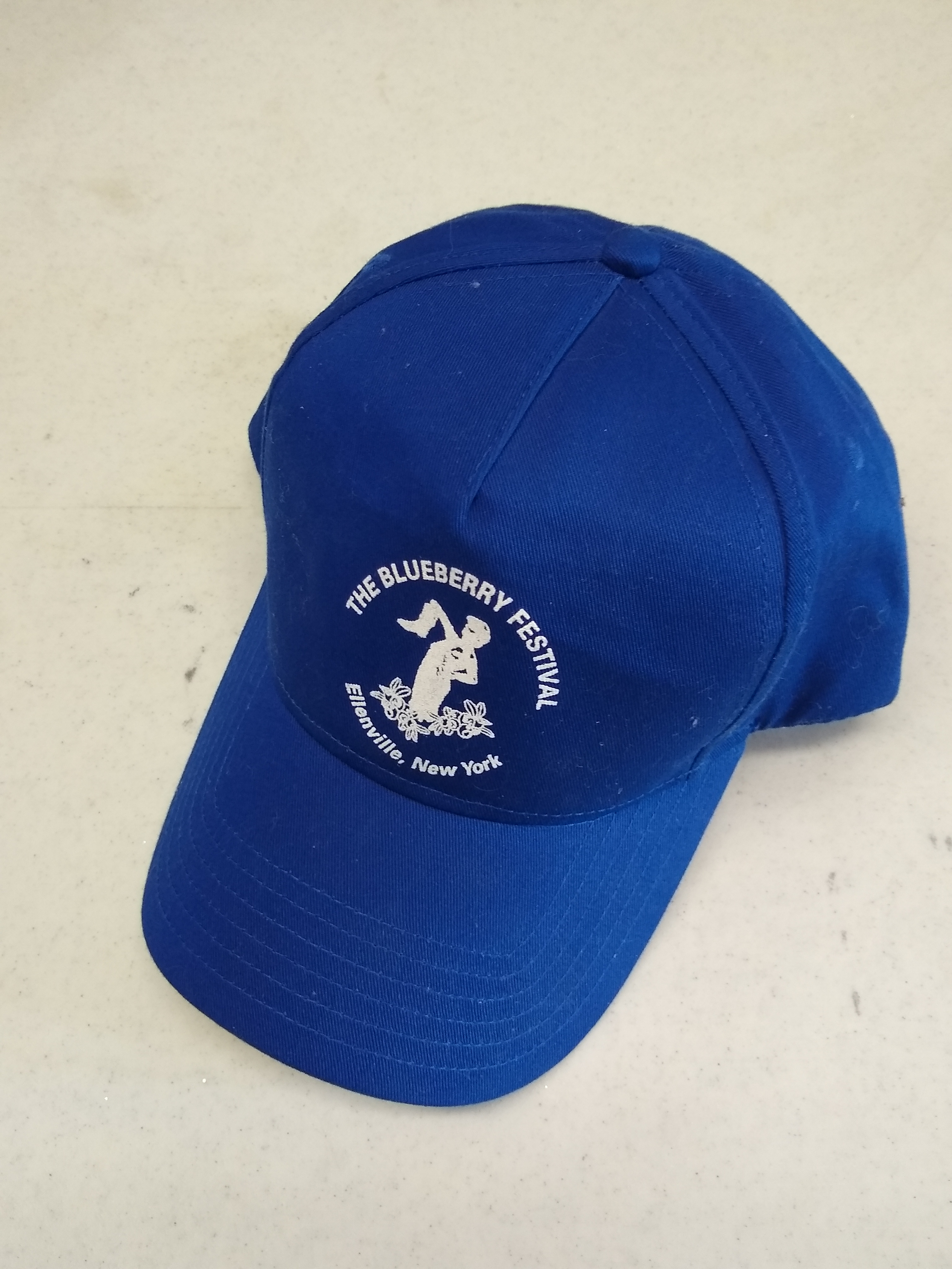 Blueberry Festival Hat