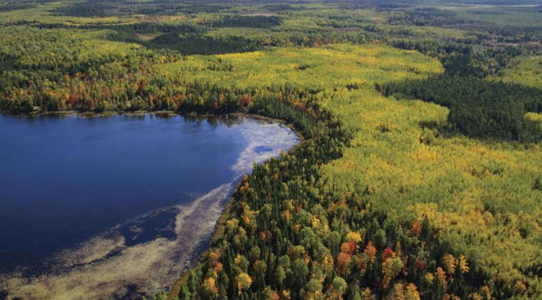 Environmental Services