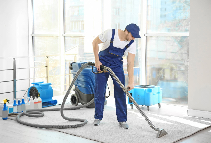 Local Carpet Cleaners