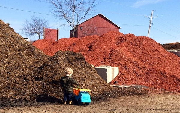 Mulch