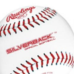 Adult Softball
