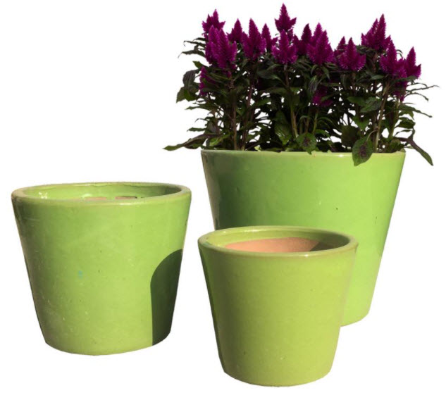 Small Pots