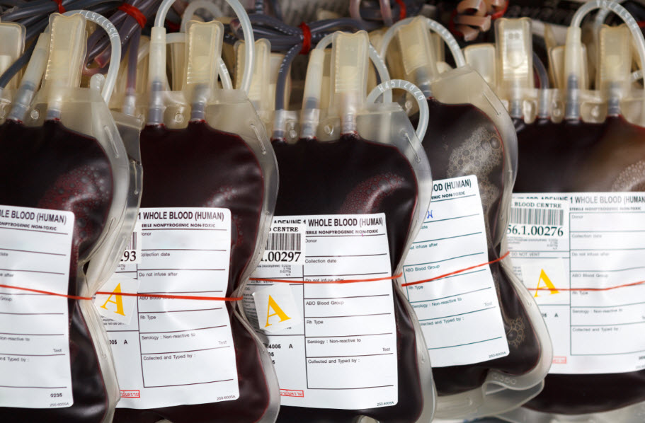 Whole Blood Donation