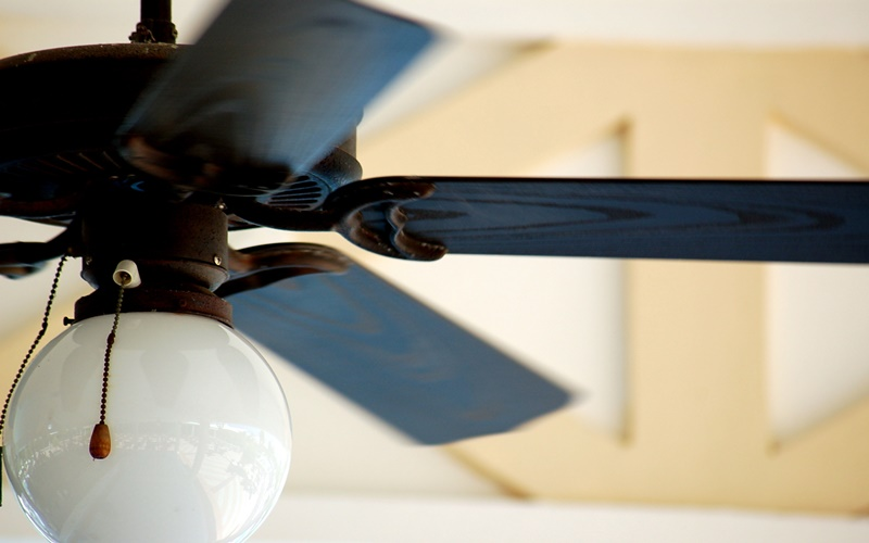 LIGHTING & CEILING FANS