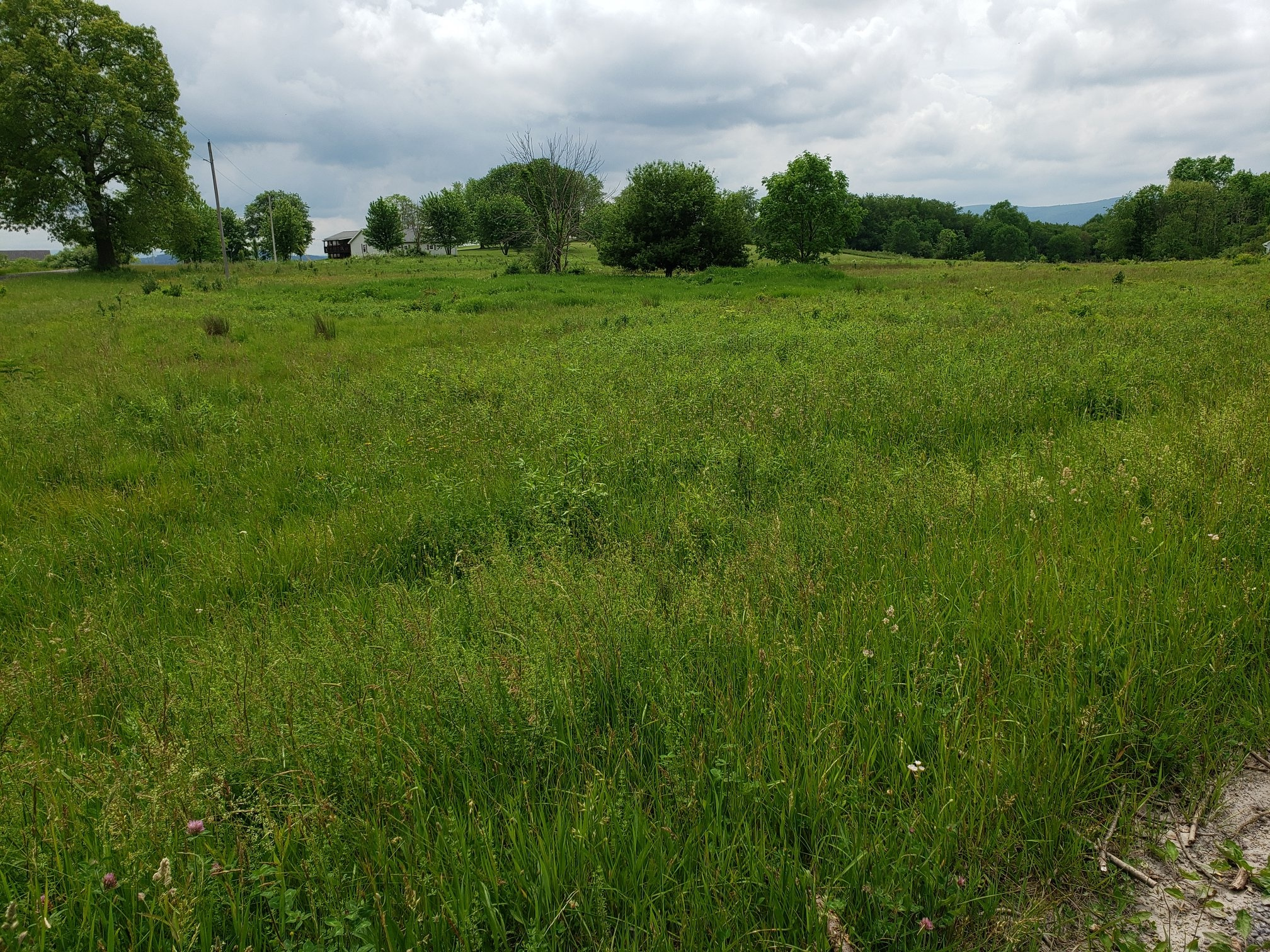  Vacant Land