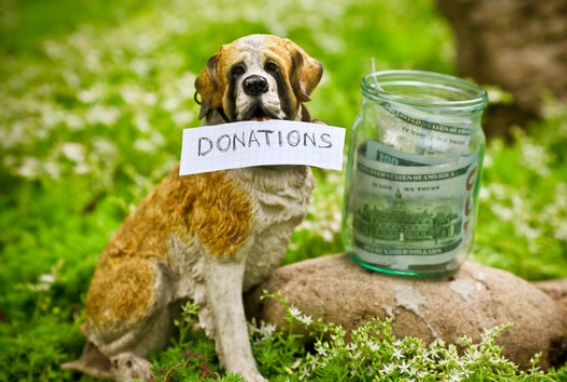 Donation