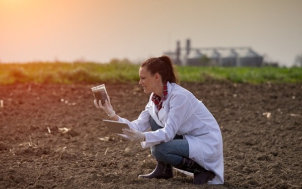 Soil/Waste Pile Sampling & Compositing