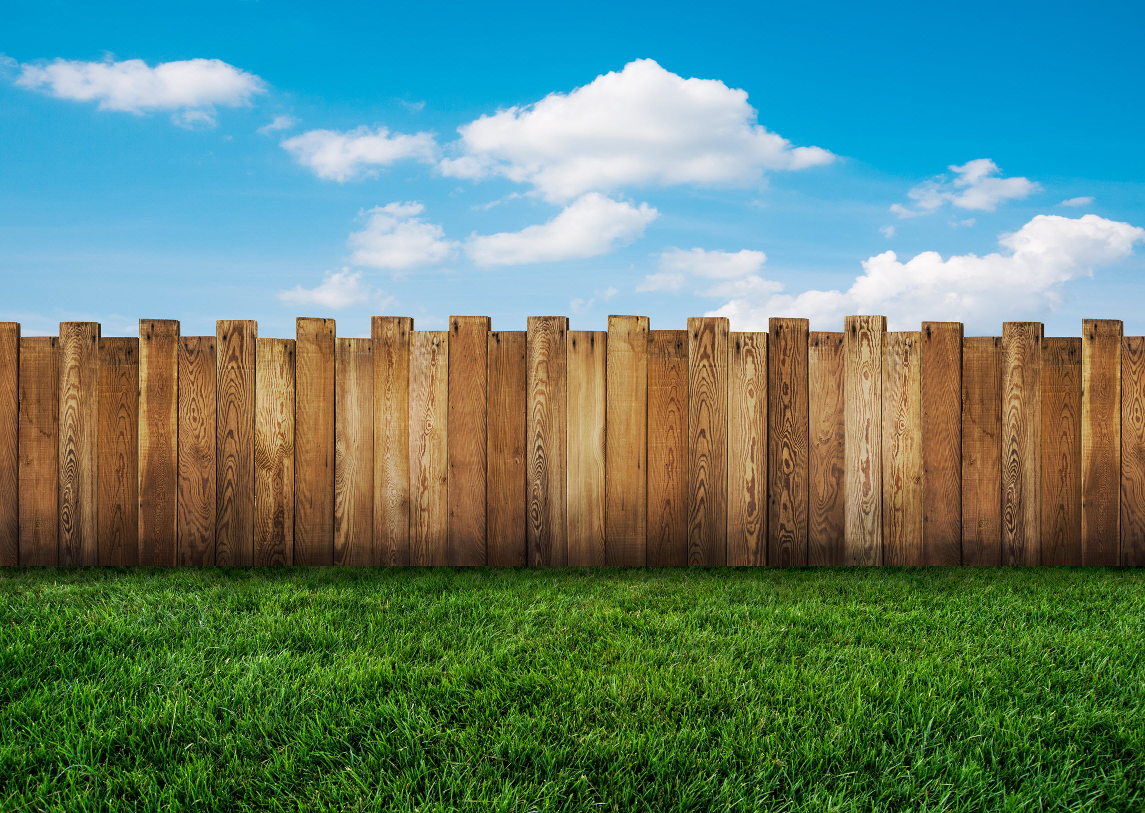 Landscape and Fencing
