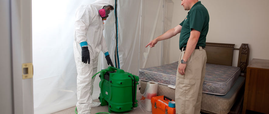 Mold Remediation and Restoration