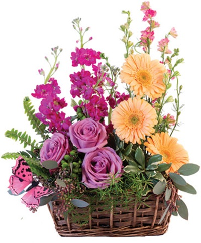 Get Well Flowers