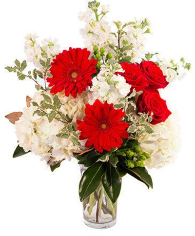 Winter Flowers