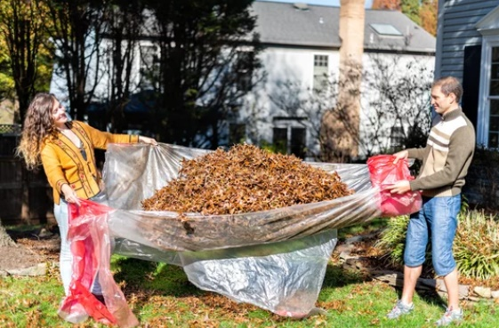 Spring Yard Waste Collection