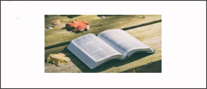Bible & Adult Studies