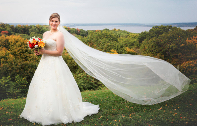 Wedding Photos