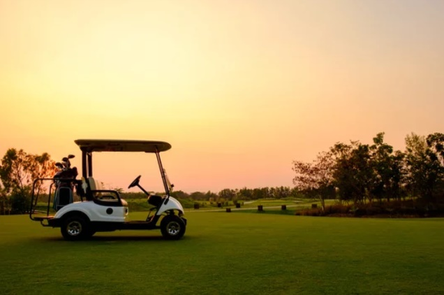 Green Fees / Cart Fees 