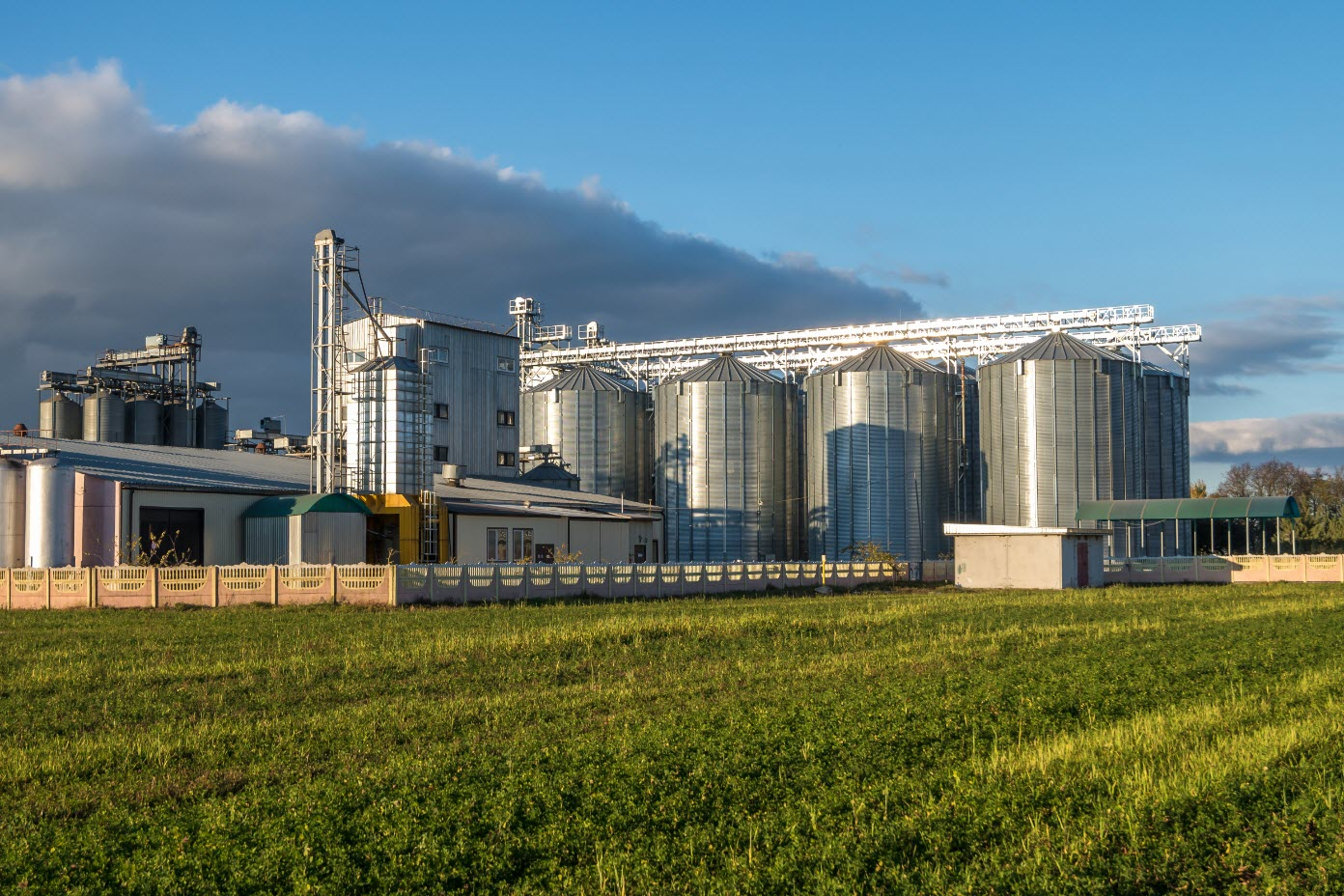 Agricultural Services 