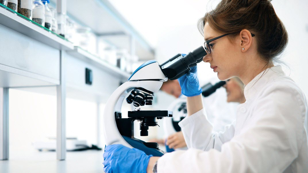 Pathology Laboratory