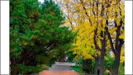 Idaho Botanical Gardens