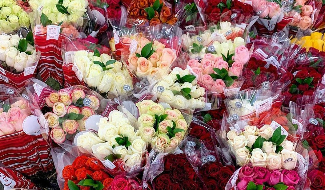 Fresh Flowers
