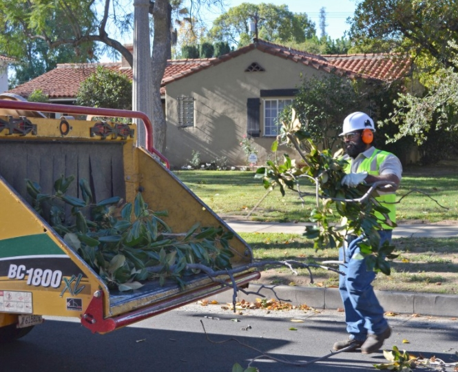 Assessments and Removals