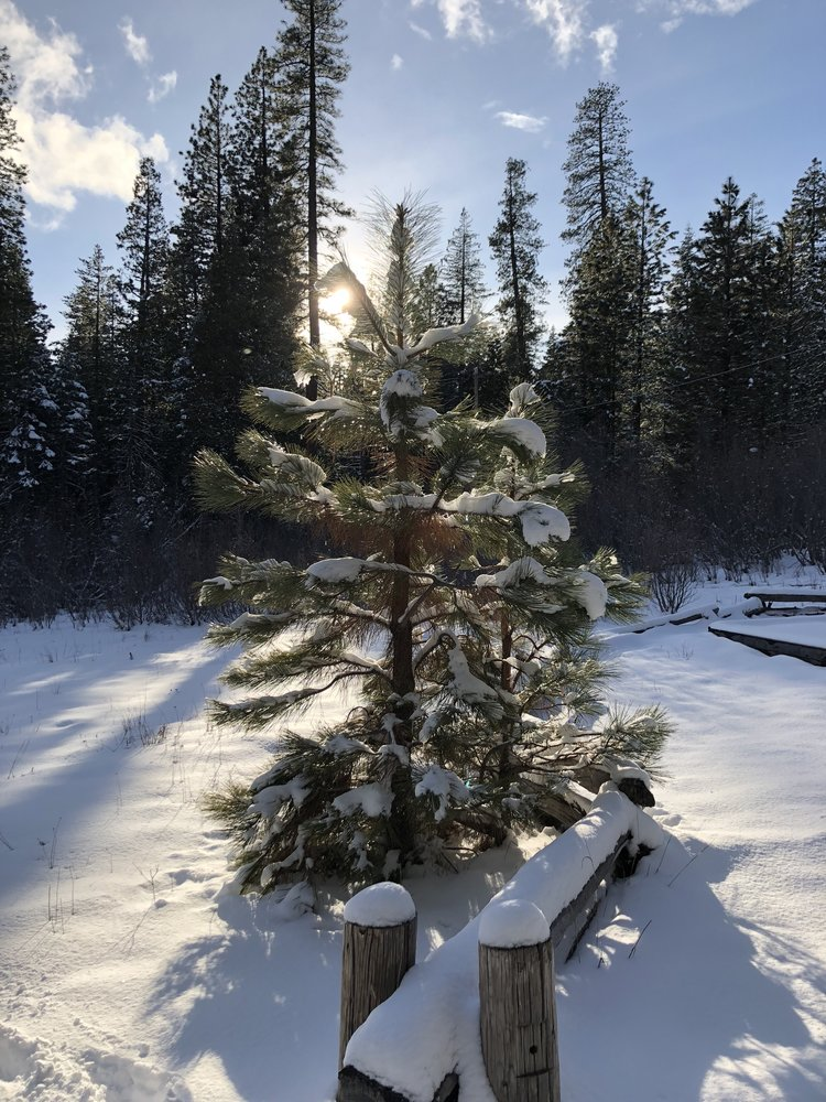 Winter Sports