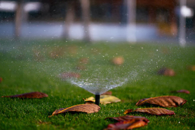 Landscape Sprinkler