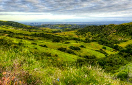 Environmental Commitment
