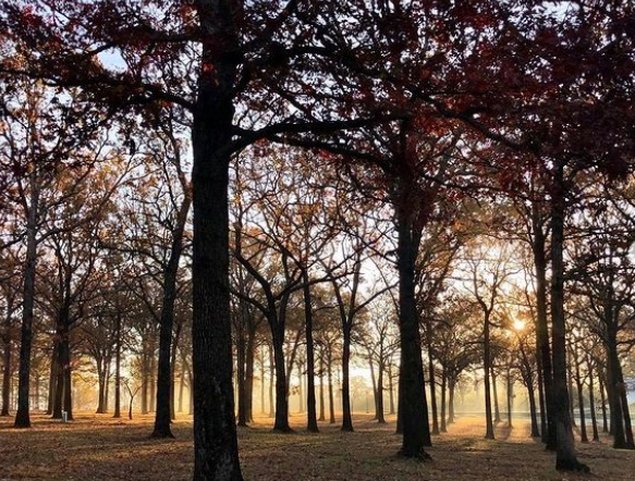 Parks 