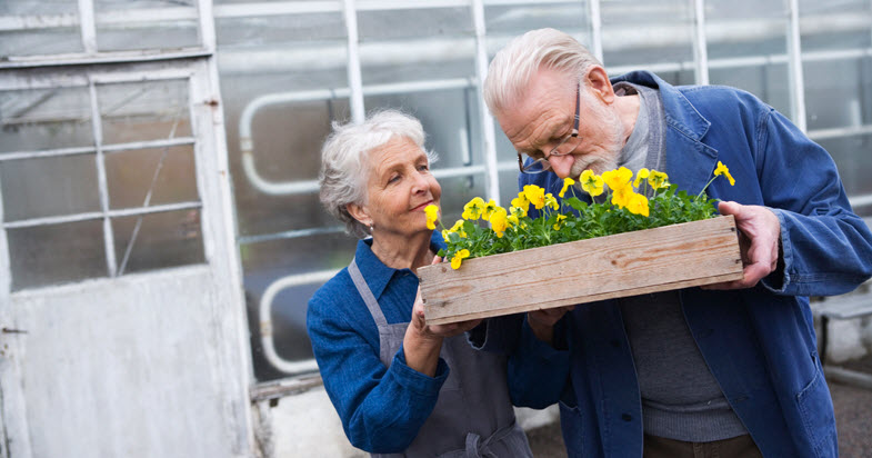 Annuities