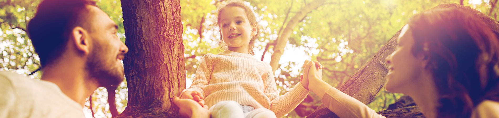 Statewide Adoption & Permanency Network 